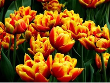 �������� �������� ������ ����-��� ���. ����..jpg