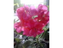 2016-05-18 16.30.16.jpg