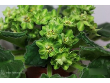 ��-������.