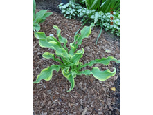 ���.jpg