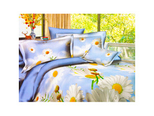 652 ���. - �������� ���� ����� 2,0 (4 ��.) ��������, ���������� ����� 85 ��/�, BP 041