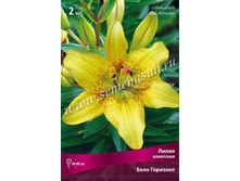 ����� ��-�� ���-����� 144 ���. ��. (� �������� 5 ��.). ������ �� 80 ��. ������� ������� �� 20 ��. �������� ������!!!!!!!!!!!!!!!!.jpg