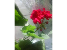 2016-05-14 13.14.21.jpg