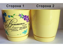 ����� �������� (�������) 100 ���.