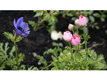 ������� � �����