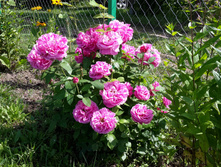 20170717 102835.jpg