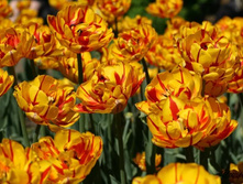 �������� �������� ������� ���-��� ���-�� ���. ����2..jpg