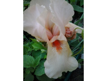 2017-06-16 19.21.20.jpg