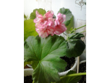 2016-05-03 16.12.32.jpg