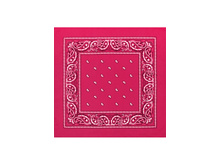 45 ���. - Paisley Acrylic 55�55 ��