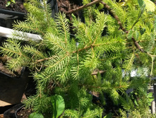 ������. ��������.