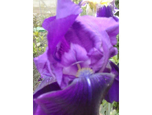 2017-06-16 19.32.27.jpg