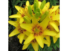 ����� ��-�� ���-����� ���. ����2.jpg