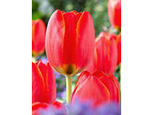 �������� ��������� ������� ��-��� ��-��� 111,3 ���. ��. (� �������� 7 ��.). ������ �� 70 ��. ������� ������ �� 10 ��. .jpg