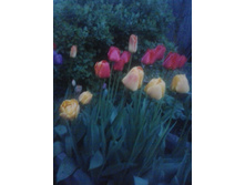 2016-05-05 20.26.33.jpg