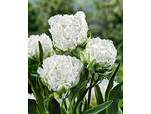 �������� �������� ������ ��-�� ���-���� 174,3 ���. ��. (� �������� 7 ��.). ������ �� 40 ��. ������� ������ �� 12 ��..jpg