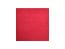 49,5 ���. - ���������� ������� 55�55 ��