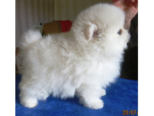 ���.����� 007.JPG