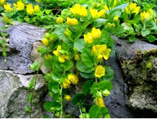 ��������� ���������� 70�..jpeg