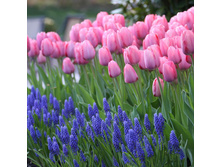 �������� ��������� ������� ��-���� ��-� ��-� ���. ���� � �������.jpg