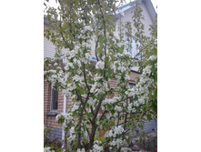 2017-05-16 17.49.37.jpg