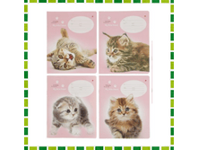 ������� 12 ������ ������� "������" (1+1+1+1+1) �������: ��515954