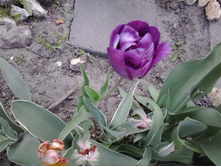 2017-05-22 18.08.24.jpg