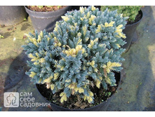 ������������ ���������� ��������