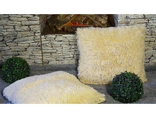 Ps1271 330031 ��������� � ������� ������, ���� �������� �����, 2 �����.jpg