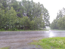 IMG 20170622 155115.jpg