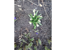 2016-04-01 13.44.34.jpg