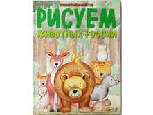 ������ �������� ������, ������ - 80 �.jpg