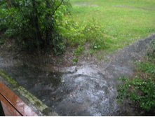 IMG 3766.JPG