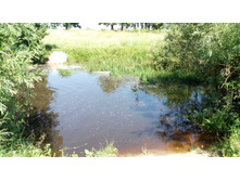 IMG 20170716 123159.jpg