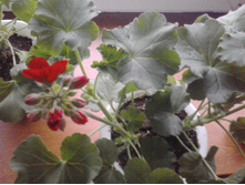 2016-03-26 17.51.58.jpg