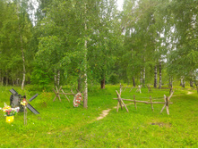 P 20170722 150808.jpg