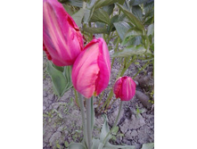 2017-05-22 18.06.27.jpg