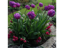 �������� �������� ������ ��-� ���-���� ���. ����2.jpg