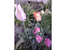 2017-05-07 18.38.16.jpg