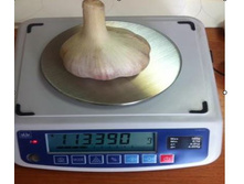 ���-��� ��-������. ���. ����..JPG