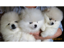 ���.����� 035.JPG