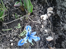 2017-04-06 15.28.56.jpg