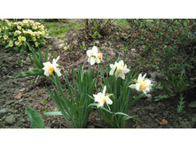 IMG 20170506 093003.jpg