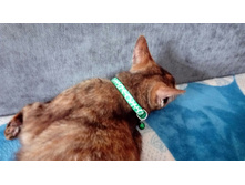 ������� ��� ����� ��� ��������� ������