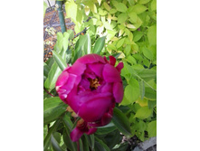 2016-06-02 14.14.03.jpg