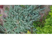 P 20170721 174821.jpg