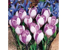 ��-��-�� ��-���-��� ���-��-���-����-��� 88 ���. ��. (� �������� 10 ��.). ������ �� 15 ��. ������� ������ 4 ��.jpg