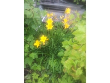 �������� ������ ������. 50 �.