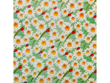 970 ���. - ������� �������� ��� �� �������� ������ "�������", 1,3�25�, ���.430/3