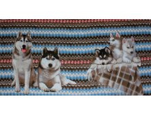 ��������� ������-������� �����